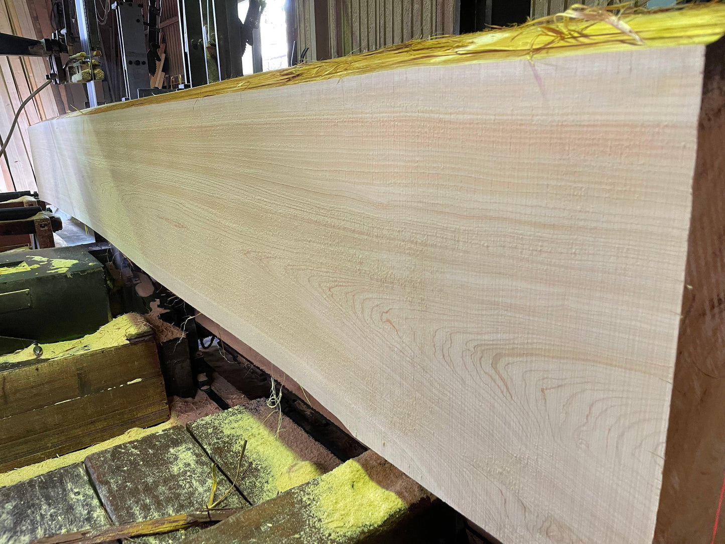 Reservation HINOKI Cutting board XXL size super Chunky type (Japanese Cypress)